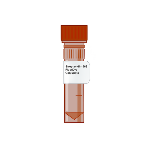 Streptavidin-568 FluorDye Conjugate - Biotinylation Tools & Streptavidins