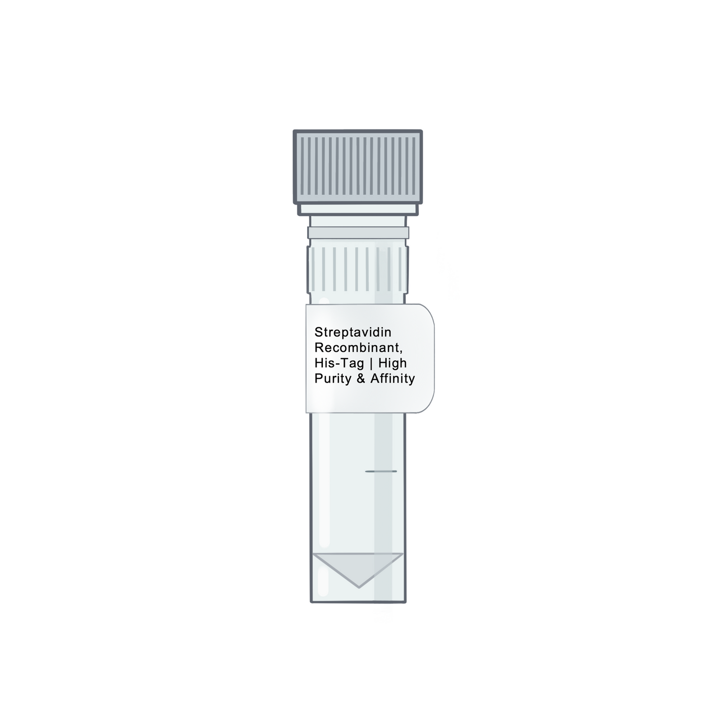 Streptavidin, Recombinant, His-Tag | High Purity & Activity - Biotinylation Tools & Streptavidins