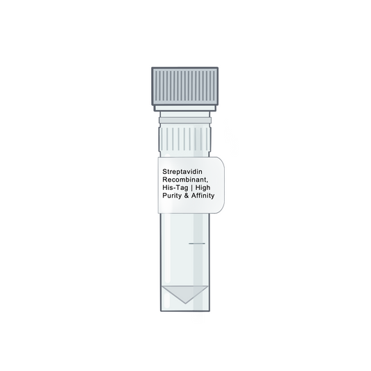 Streptavidin, Recombinant, His-Tag | High Purity & Activity - Biotinylation Tools & Streptavidins