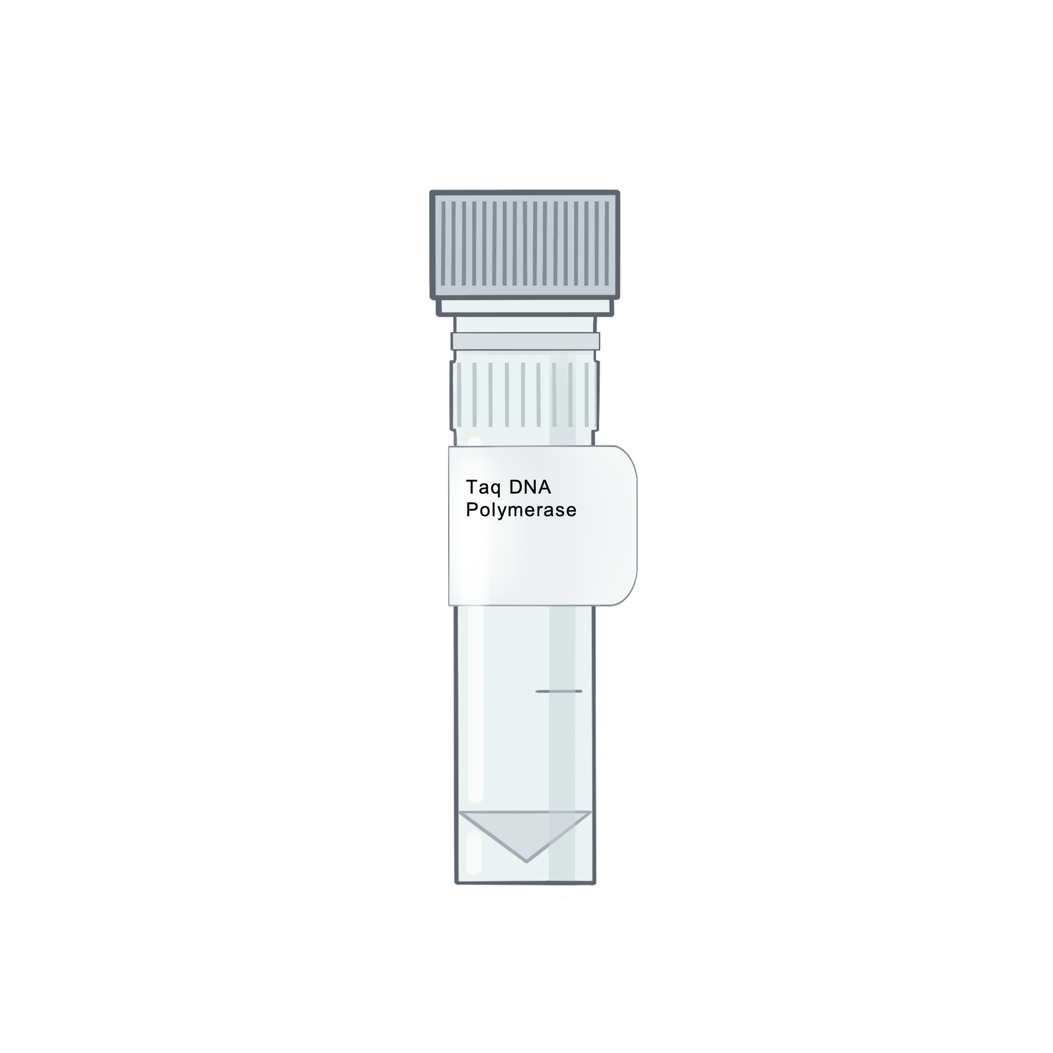 Rtaq Taq DNA Polymerase for Routine PCR (5 U/µL) | Amid Biosciences