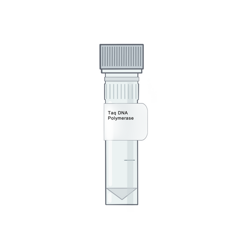 Taq DNA Polymerase - Polymerases & PCR