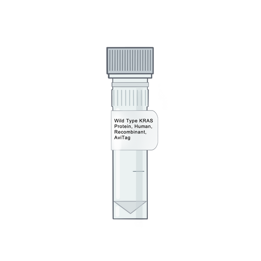 Wild Type KRAS Protein, Human, Recombinant, AviTag - RAS Proteins