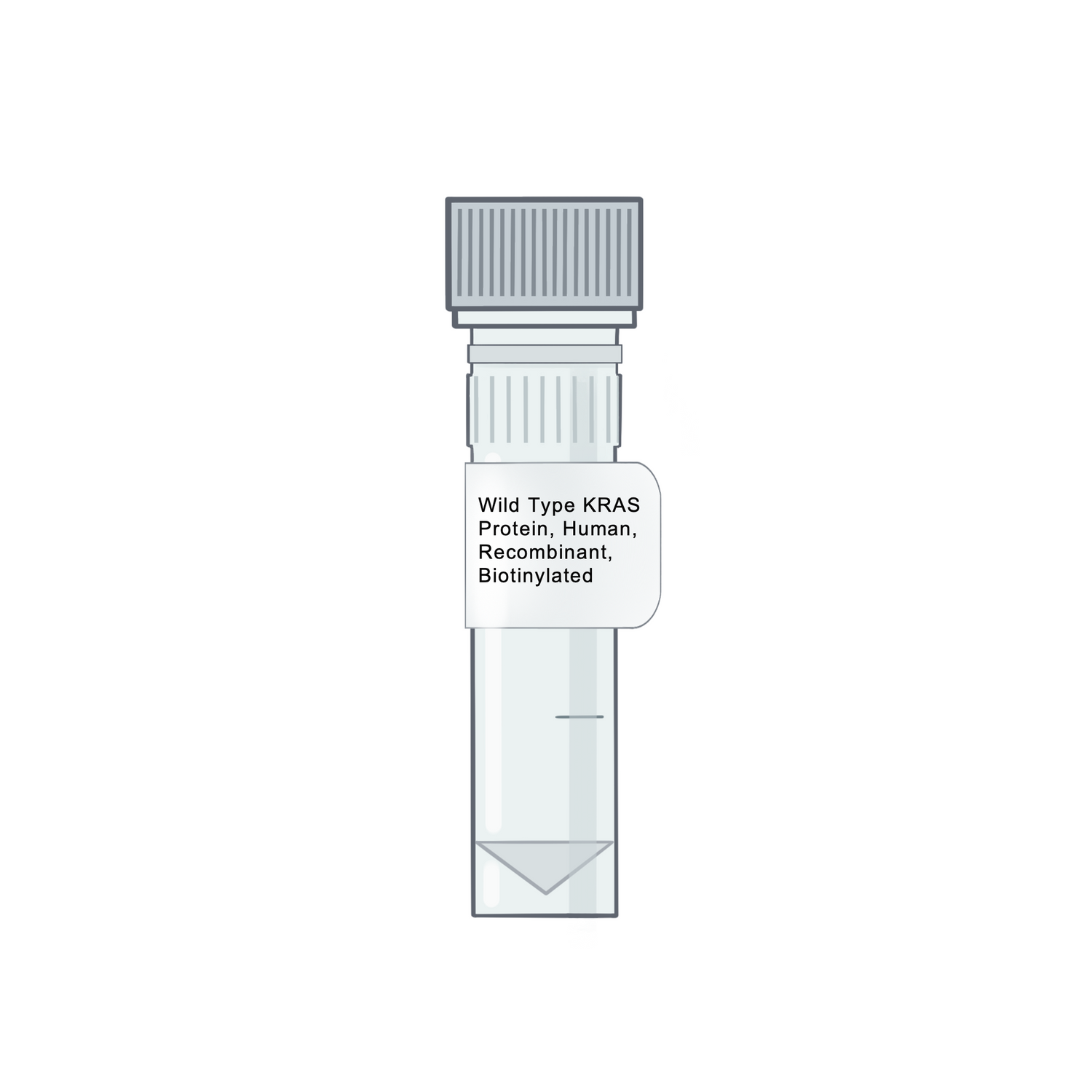 Biotinylated Human Wild Type KRAS Recombinant Protein - Amid Biosciences