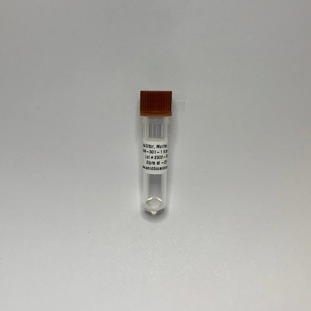 RNase Inhibitor, Murine, Recombinant | Prevent RNA Degradation | RT-PCR, cDNA Synthesis | in vitro  Transcription | Translation | Enzymatic RNA Labeling Reaction.