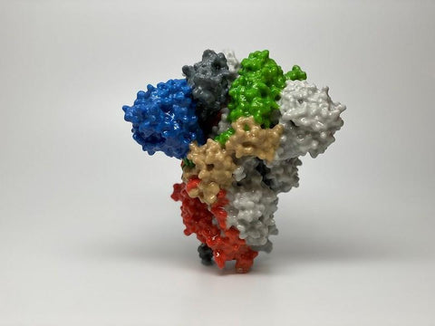 SARS-CoV-2 Spike RBD Protein, Recombinant, Biotinylated