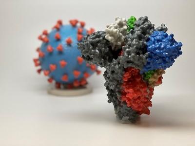 SARS-Cov-2 Nucleocapsid Protein, Recombinant, AviTag