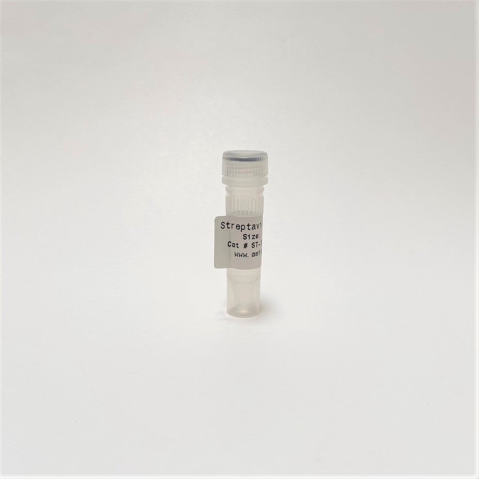 Streptavidin Recombinant | High Purity | Diagnostic Applications | Protein-Protein Interaction 