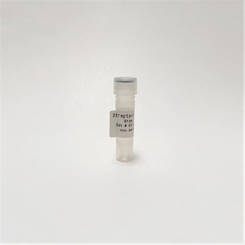 Streptavidin Recombinant | High Purity | Diagnostic Applications | Protein-Protein Interaction 