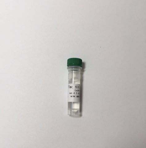 Taq Polymerase PCR 5X Master Mix - Amid Biosciences