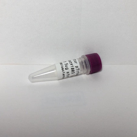 pTrham expression vector, high expression, stable cloning toxic proteins