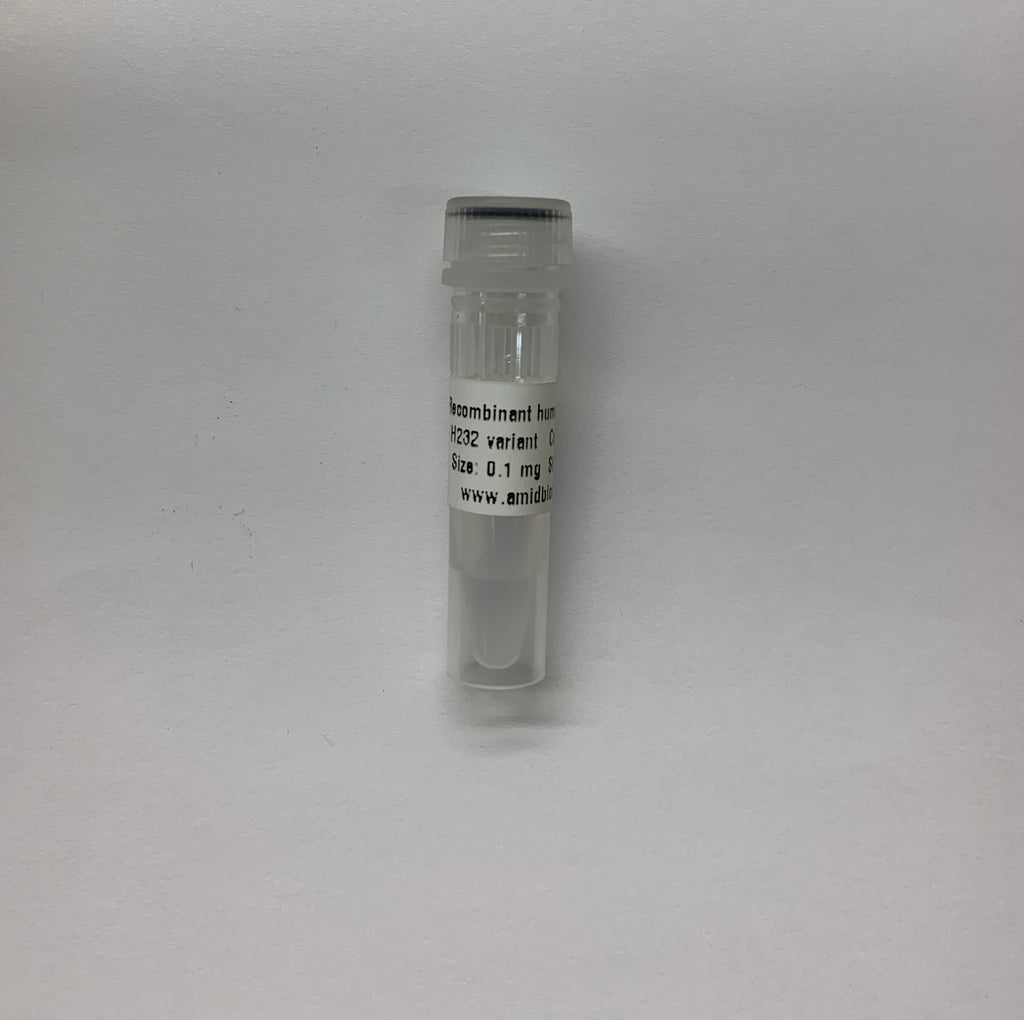 STING Protein, Human, H232 variant, Recombinant