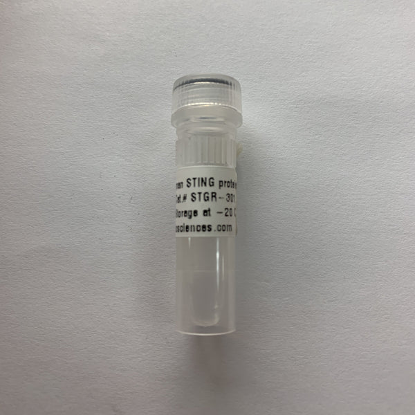 STING Protein, Human, R232 variant, Recombinant – Amid Biosciences ...